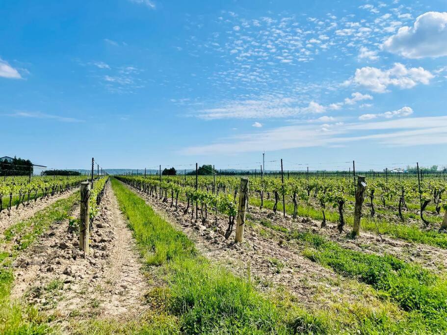 Waterfront Niagara-On-The-Lake Farmhouse On A Vineyard Villa Dış mekan fotoğraf